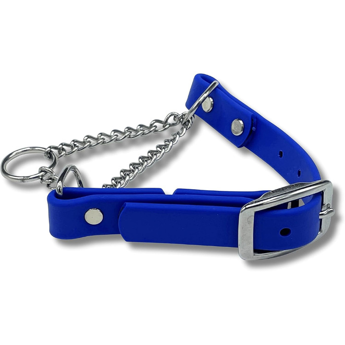 Нашийник для собак Artingale від JI HODGES, Biothane, не тягне, професійна якість, розмір XXS (блакитний)