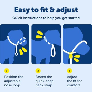 PetSafe Sanfter Führer: Нашийник-тренер з DVD (яблучно-зелений)