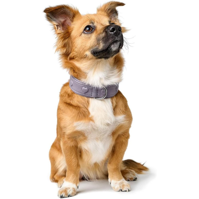 Нашийник для собак HUNTER SOHO X Love, фіолетово-сірий, з натуральної шкіри, м'який, з сердечками, для маленьких собак та цуценят, Made in Germany, розмір 42