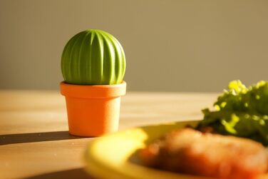 Qualy Design Studio Cactus Salt and Pepper Shakers in one. A great decorative and practical accessory for the kitchen and dining room. Cool salt shaker for tequila.