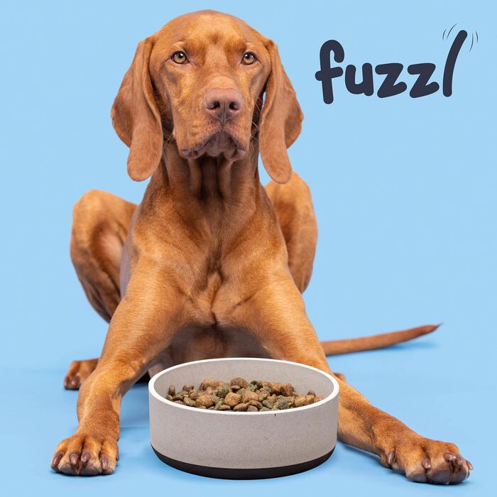 Bamboo & Rubber Dog Bowl - Titan Fuzzl, 22cm, Anti-Slip, Eco-Friendly, Antibacterial, Large 2.5L
