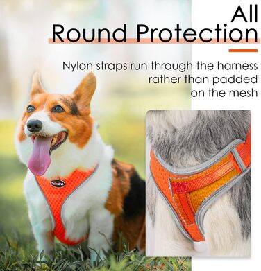Шлейка для собак ThinkPet No-Pull, дихаюча, для малих, середніх та великих собак, регульована, м'яка, для прогулянок, з контролем, з підкладкою, світловідбиваюча (Помаранчевий, S, 1 шт.)
