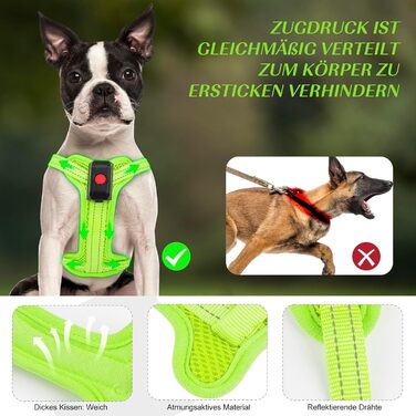 Світловідбиваючий нашийник для собак PZRLit з LED підсвічуванням, зарядний, для маленьких собак, XS, для безпечних прогулянок вночі (зелений)