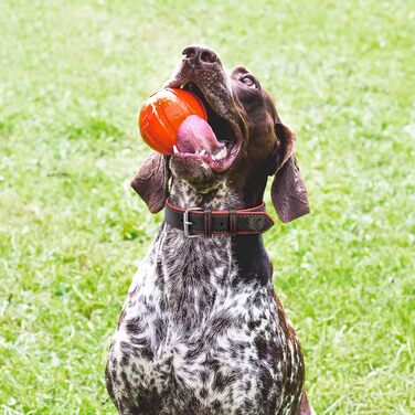 Нашийник для собак Riparo з натуральної шкіри, регульований, посилений (L, 3,8 см, чорно-червоний), чорно-червоний
