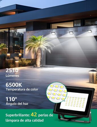 Aigostar LED Flood Light Outdoor Indoor 100W 8700LM Cool White 6500K LED Spotlight Projector IP65 Waterproof LED Outdoor Floodlight for Bright Garden Garage Sports Field Yard (30W, 2 pcs)