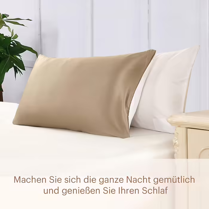 LILYSILK 19 Momme Silk Pillowcase Mulberry Silk with Cotton Backing Zipper Closure Hair and Skin Care Pillow Cover 1 Piece (80x80cm) (Gray Brown, 40x40cm)