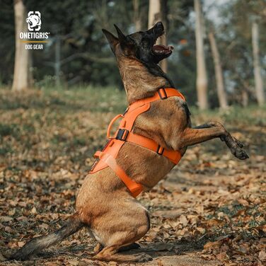 Шлейка для собак OneTigris T-Bone тактична, посилена, з 2 ручками, вибухозахисна, регульована, для полювання, прогулянок, тренувань (M, L:27-41кг)