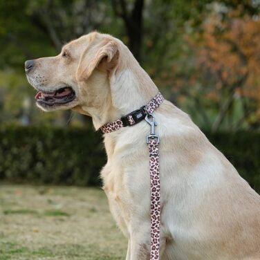 Нашийник для собак Olahibi з повідком, леопардовий принт, поліестер, регульований, 1,5 м, для цуценят (XS, світло-кавовий)