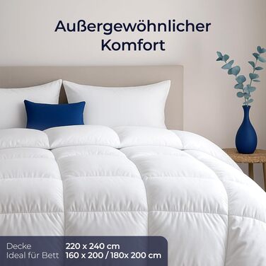 Пухова ковдра Dreamzie Komfort преміум-якості 220x240 см, щільність 650 г/м², тепла зимова ковдра