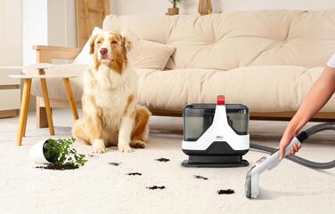 Пылесос Ufesa Eden 600 для миття та сушки, для автомобіля, килимів та диванів, з функцією миття вікон, 600 Вт, потужність всмоктування 15000 Kpa