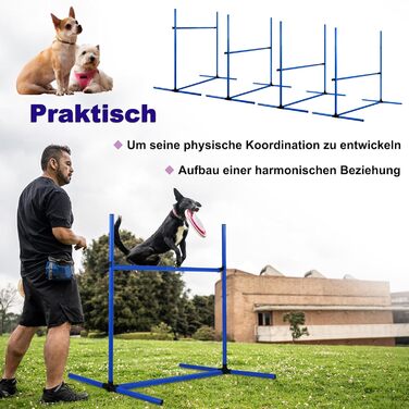 Набір для аджиліті для собак 4-TLG, обладнання для собачого спорту, регульована висота, з сумкою, PVC, блакитний
