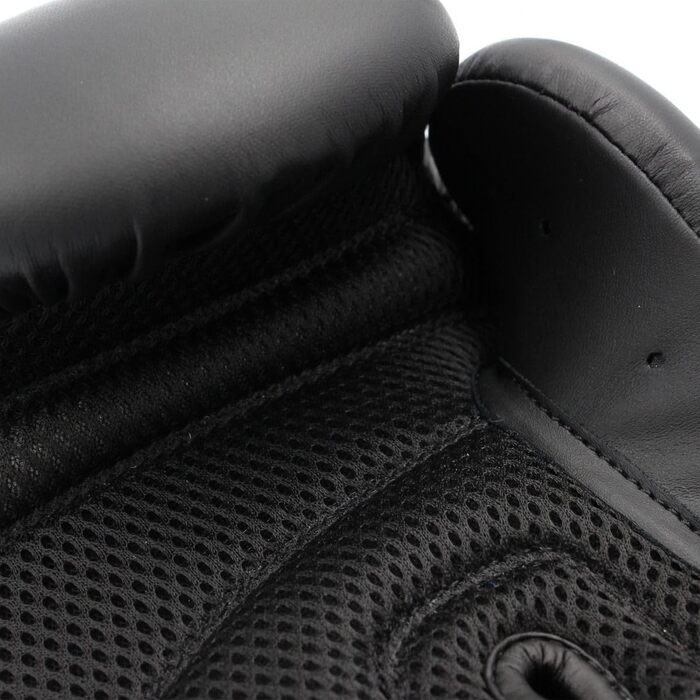 Боксерські рукавички Adidas Hybrid 25 - Початкова модель, чорний колір, 10 oz