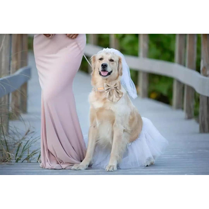 Шовковий ошийник для собак Unique Style Paws, регульований, довговічний, з бантиком, солом'яний, для великих собак, розмір L, колір шампань