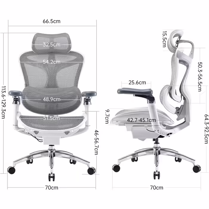 SIHOO Doro C300 Pro Ергономічне крісло для офісу з м'якими 6D-підлокітниками, динамічною поперековою підтримкою, регулюванням глибини сидіння та спинки, біле, для дому та офісу