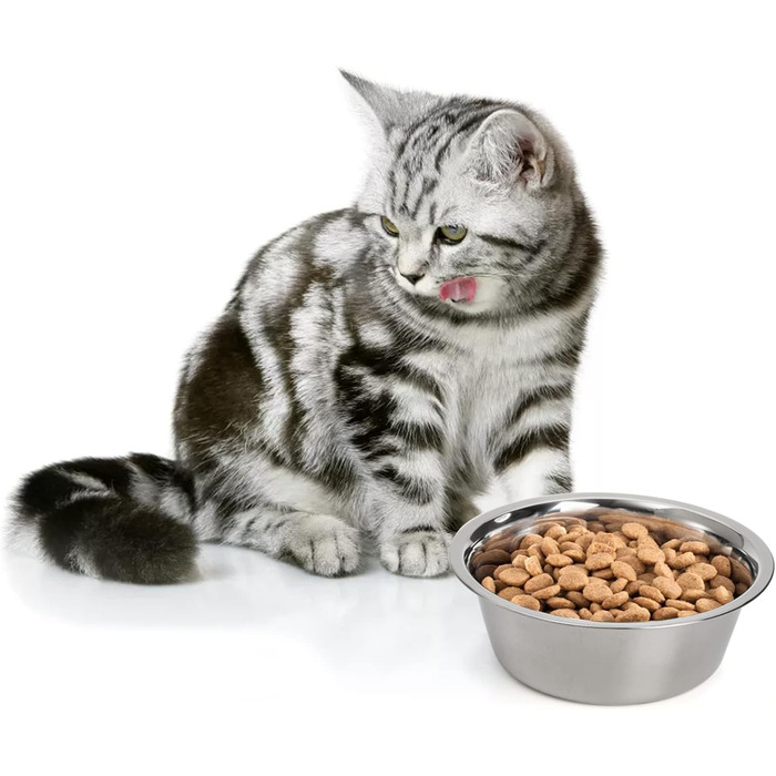 Набори мисок для собак та котів DEAYOU (4 шт.), нержавіюча сталь, 21 см, 1.3 л