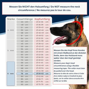 Нашийник для собак з обхватом шиї 49-53 см, нержавіюча сталь V4A, ланцюговий нашийник з запобіжником, довгі ланки 5 мм, загальна довжина 64 см