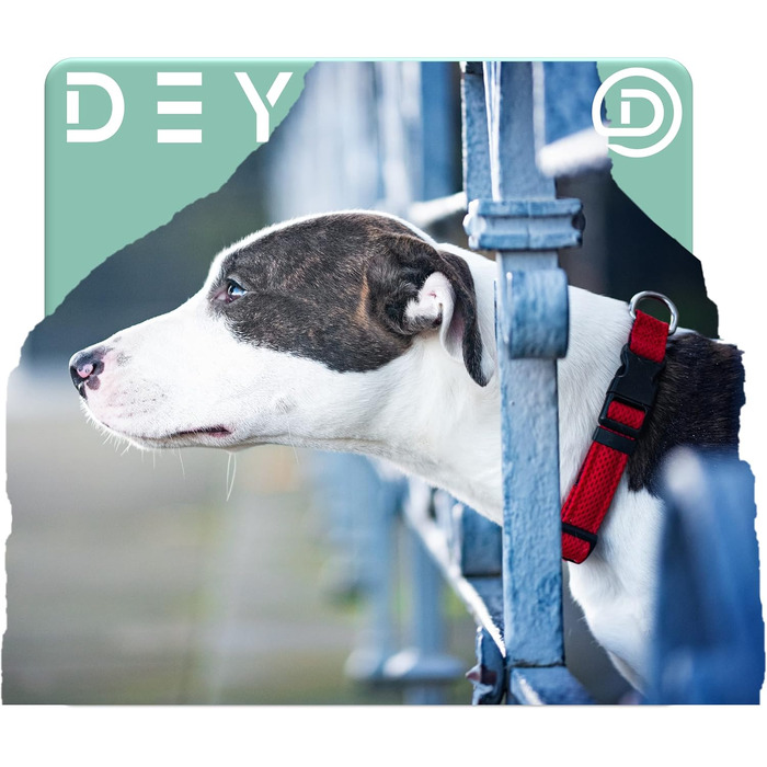 Преміум нашийник для собак DEY Air Mesh | Регульований | для малих, середніх та великих собак | багато кольорів та розмірів | нашийник для собак та котів | нашийники для собак | нашийник для цуценят | Рожевий, M [M/L] - 2,5 x 34-49 см Рожевий