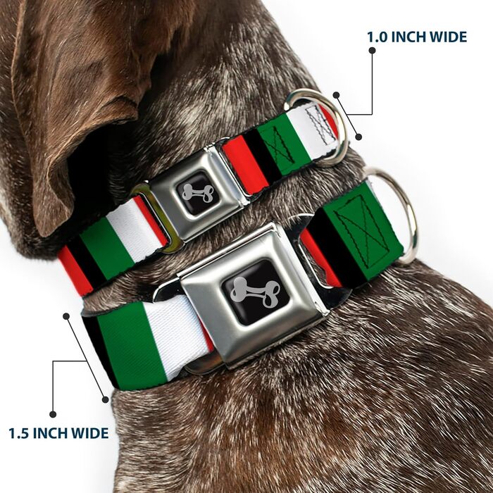 Нашийник для собак Buckle-Down з пряжкою Italy Flags, 2.5 см (1 дюйм) ширина, розмір M (11-17 дюймів)