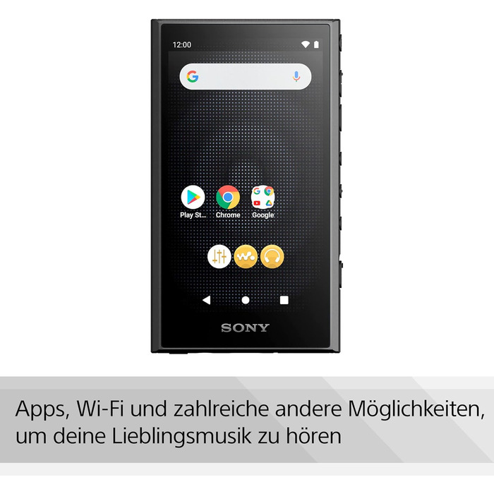 Sony Walkman NW-A306 32GB MP3 плеєр з Wi-Fi, чорний + карта пам'яті 1TB. До 36 годин роботи, покращена якість звуку