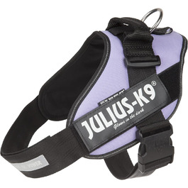 колір: віолетта