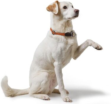 Нашийник для дрессури HUNTER FREESTYLE, червоний, розмір M. Міцний, з нейлоновим тросом, стійкий до погодних умов, для тренувань та повсякденного використання.