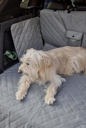 Ремінь безпеки для собак Loop для заднього сидіння авто, з карабіном, регульована довжина 60-80 см, аксесуар до килимка для собак NIMM Mich MIT (LOOP-DMK5000)