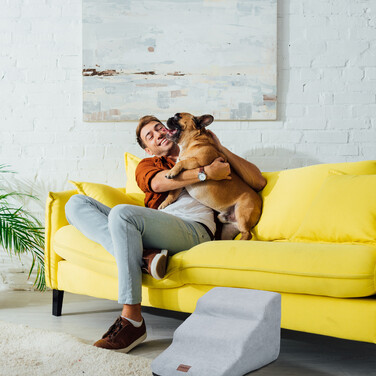 Relaxdays Dog Stairs with 3 Steps