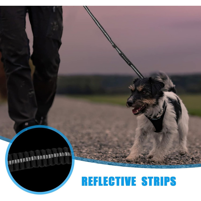 Міцна тактична повід для собак Raiput Bungee, 1.2-1.8 м, без ривка, з карабіном, світловідбиваючий, амортизуючий, з авторемнем безпеки (Чорний, 4-6 FT Bungee)