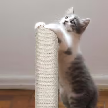 4 Replacement Scratching Post Stems, 40 cm Replacement Parts Scratching Post Stems with M8 Screws Cat Tree Scratching Post Scratching Post Sisal for Kittens Cat Tree Tower