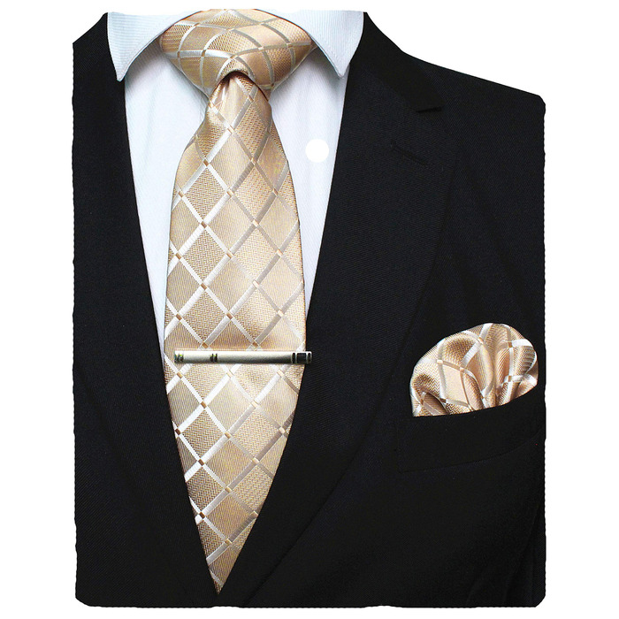 Чоловіча краватка та хустинка до костюма JEMYGINS в клітку, колір шампань, з затискачем для краватки