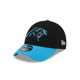 колір: carolina panthers — офіційні кольори команди