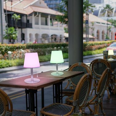 Світлодіодний солярний світильник для столу, вуличний, 2-в-1, бездротовий, 8 кольорів, для саду, кемпінгу (Срібний)