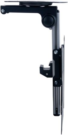 Кріплення для телевізора PureMounts PM-SLOPE-23 для даху, нахильний, регулювання висоти, VESA до 100x100, до 20кг