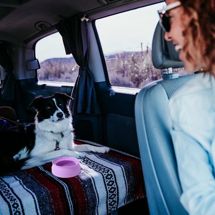 Складаний миска для води для собак SLSON, витокозахисний, портативний, для подорожей на авто, персиково-рожевий (світло-фіолетовий)