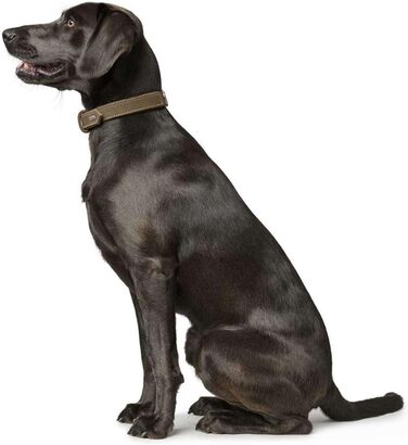 Нашийник для собак Hunter, шкіра нубук, міцний, м'який, розмір S-M, оливковий, 65 см