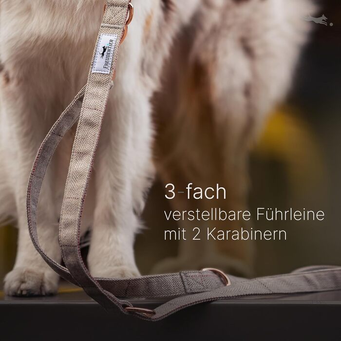 Dog collar and 2m dog leash set in an elegant design - Adjustable dog leash - Includes gift box - For small, medium & large dogs - Classic Collection, The Original (37-58cm)