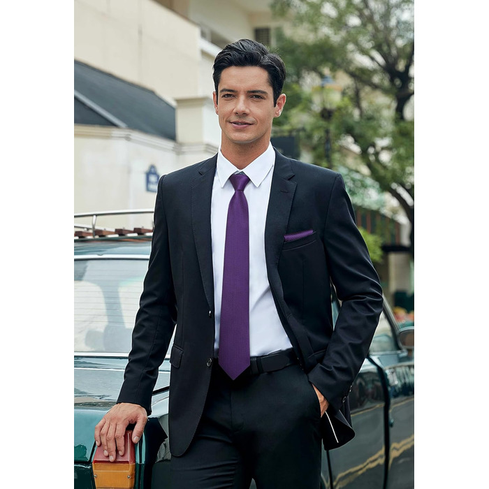 HISDERN Комплект краватки та нагрудного хустинки для чоловіків, в клітинку, елегантний, класичний (фіолетовий)