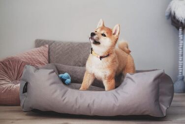 Лягушкове ліжко для собак BedDog Zara, м'яке ліжко-подушка для собак знімним та пральним чохлом, кошик для собак, собаче ліжко-диван, для маленьких собак, S L 70 x 55 x 18 см, світло-пісочний (світло-бежевий)