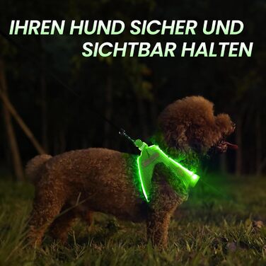 Світловідбиваючий нашийник для собак PcEoTllar з LED підсвічуванням, акумуляторний, для дрібних та середніх собак, дихаючий, рожевий (3 режими) (XS, зелений (3 режими))