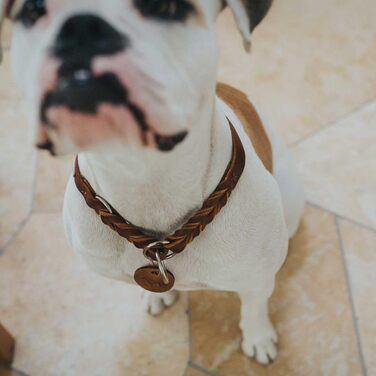 HUNTER Нашийник для дрессури SOLID EDUCATION, колір: коньяк, міцне шкіряне плетиво, з кільцем-обмежувачем, Made in Germany, розмір: M-L