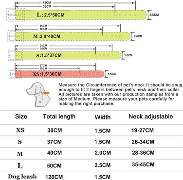 Нашийник для собак з натуральної шкіри та поводок-комбінований набір. Регульований нашийник для цуценят та собак маленьких та середніх порід. Білий, XS, S, M
