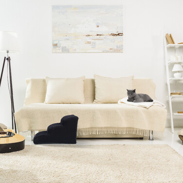 Relaxdays Dog Stairs with 3 Steps
