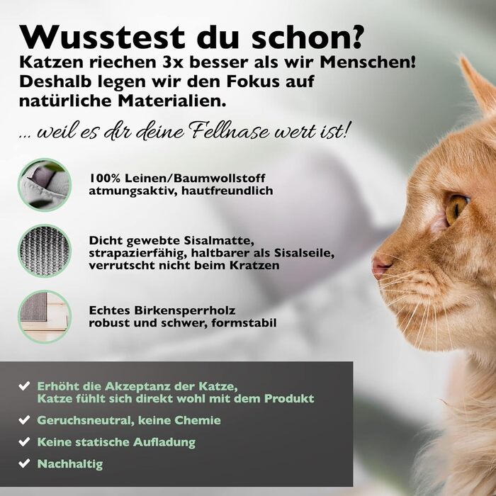 Nemmy Premium Cat Tree Small Beige | Stable Scratching Post Extra Wide | Cat Bed with Cushion | Cat Tree for Large Cats | Modern Wood Natural | Scratching Post | Scratching Post (Birch/Dark Grey)