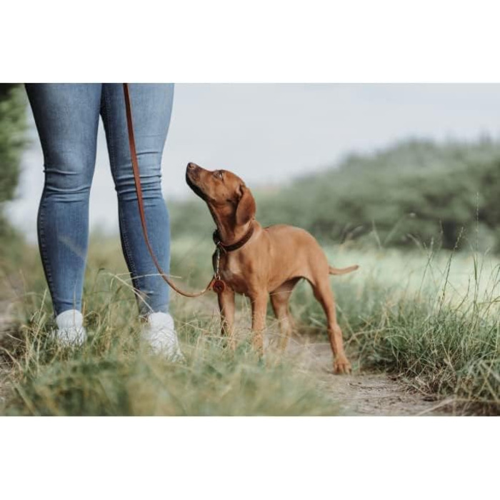 Нашийник для собак HUNTER Aalborg Soul, колір Cognac (коньячний), з сердечком, міцний, розмір 30