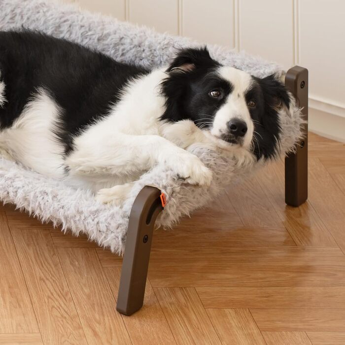 MEWOOFUN Dog Sofa Dog Bed Elevated No Dogs - Dog Beds for No and medium-sized dogs with Non-Slip Bottom, Breathable Woven Bed with Removable, Cat Sofa 61 x 53 x 28 cm, (XL, Grey)