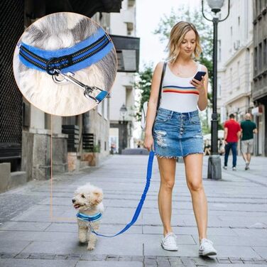 Нашийник для собак LowTon з повідком, анти-тягнучий, регульований, світловідбиваючий, для цуценят та малих/середніх собак, чорний (XS, Синій)