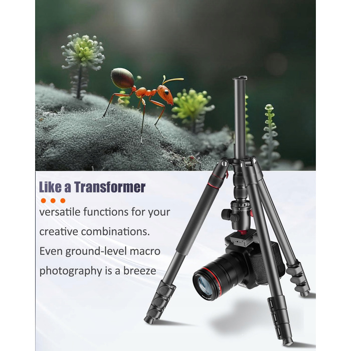 Професійний штатив CAMBOFOTO 188 см, портативний штатив-монопод 191 см