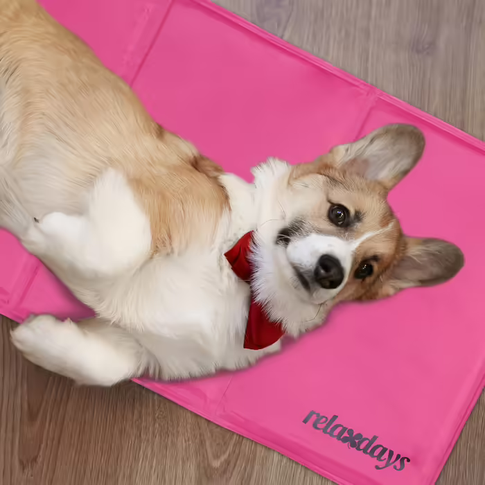 Relaxdays Cooling Mat for Dogs