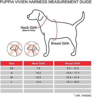 Нашийник для собак Пуппія Вівьєн, блакитний, S - регульований, м'який, для цуценят, антигризущий