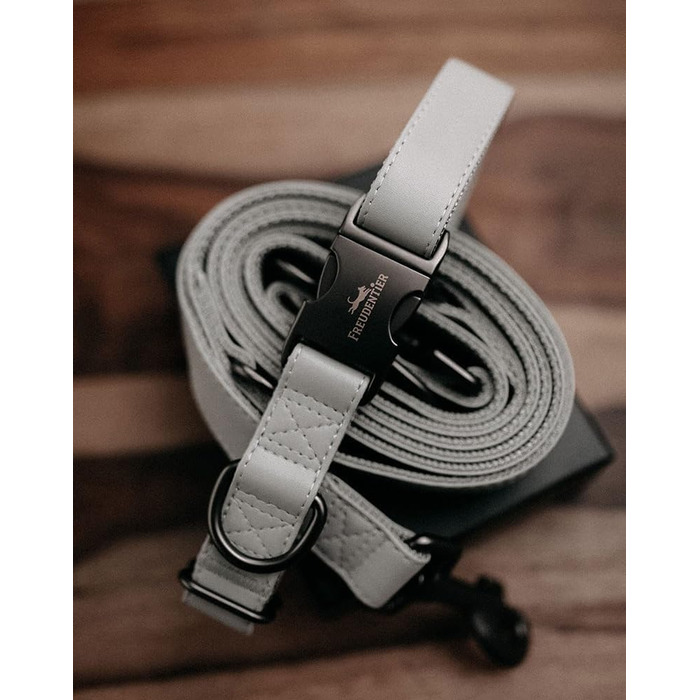 Dog Collar with 2m Leash Set - Adjustable Dog Leash - Dog Collar for Large Dogs, Collar for Small & Medium Dogs - Dog Collar & Leash - Includes Gift Box (30-40cm)